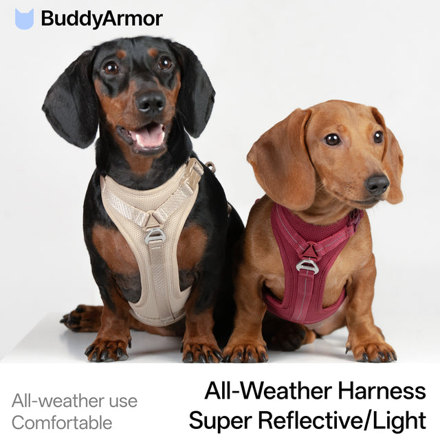 All-Weather Harness (Light)