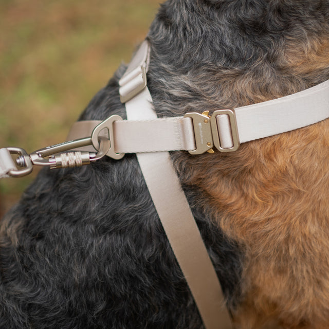 Light Alloy Harness