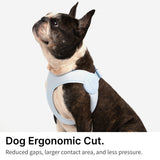 Ultra Comfortable Harness