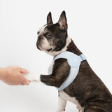 Ultra Comfortable Harness