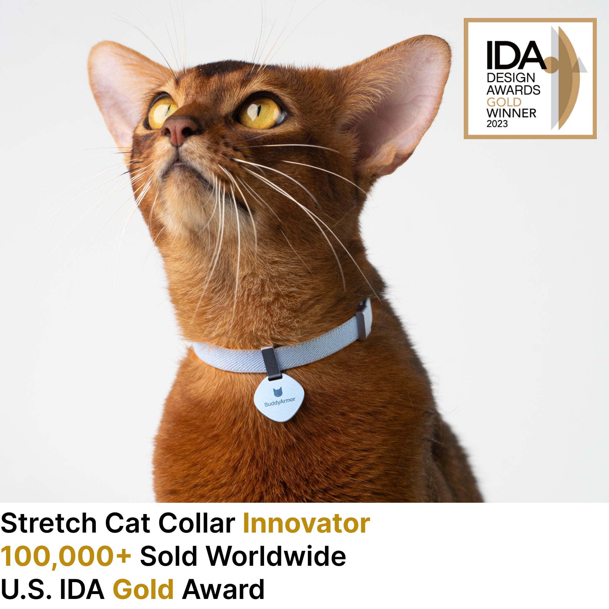 Star Tag + Safety Cat Collar
