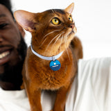 Olympic Cat Collar Pro Set