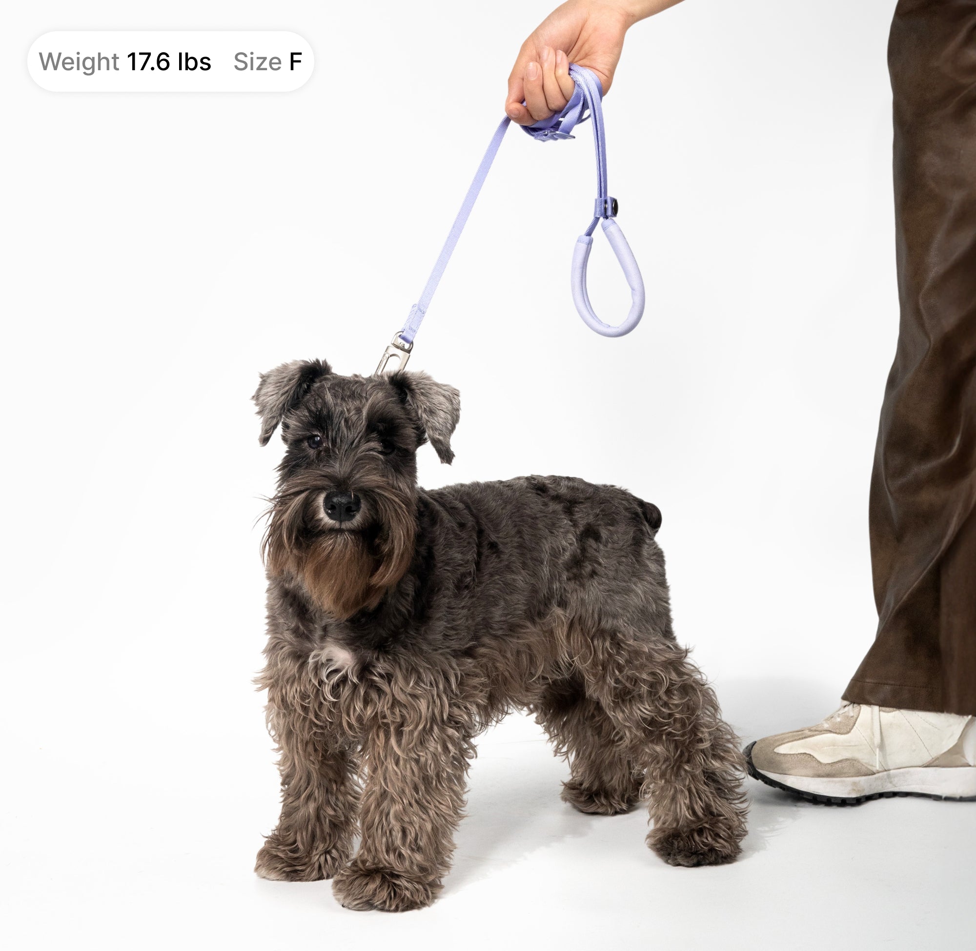 Lightweight Cat Leash