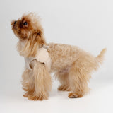 Ultra Comfortable Harness