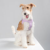 Ultra Comfortable Harness