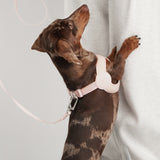 Ultra Comfortable Harness