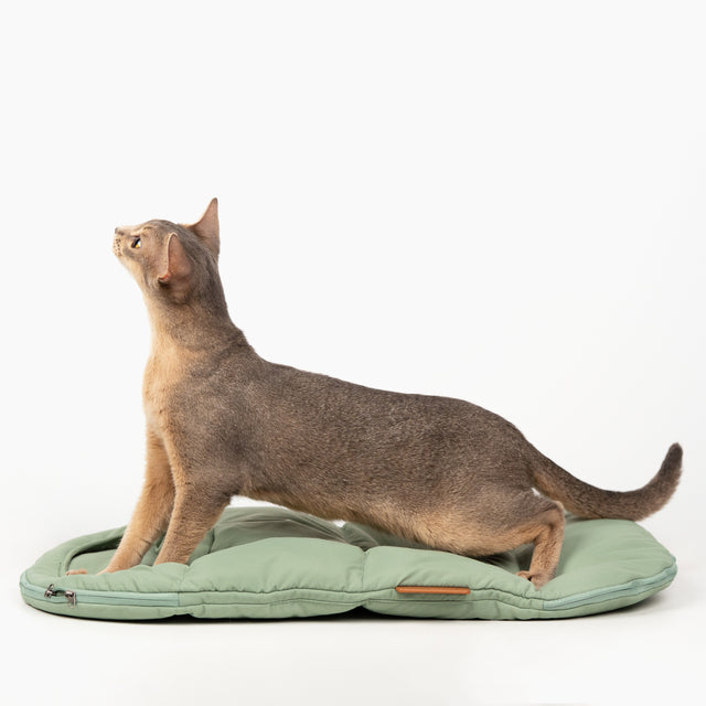 Cat Sleeping Bag