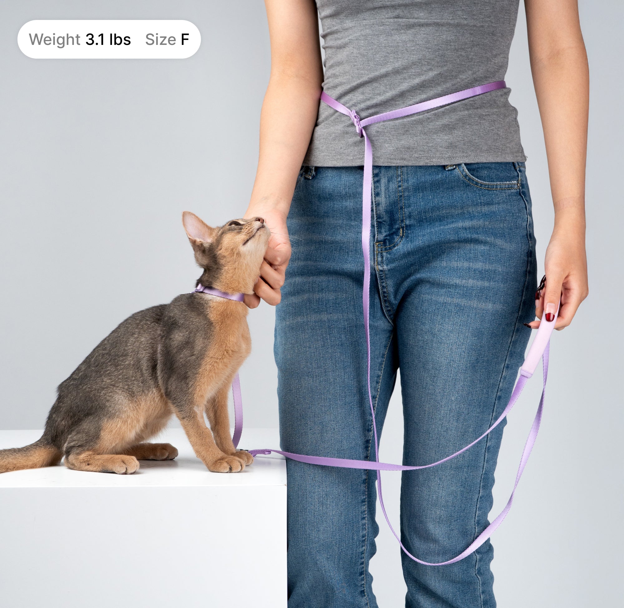 Lightweight Cat Leash