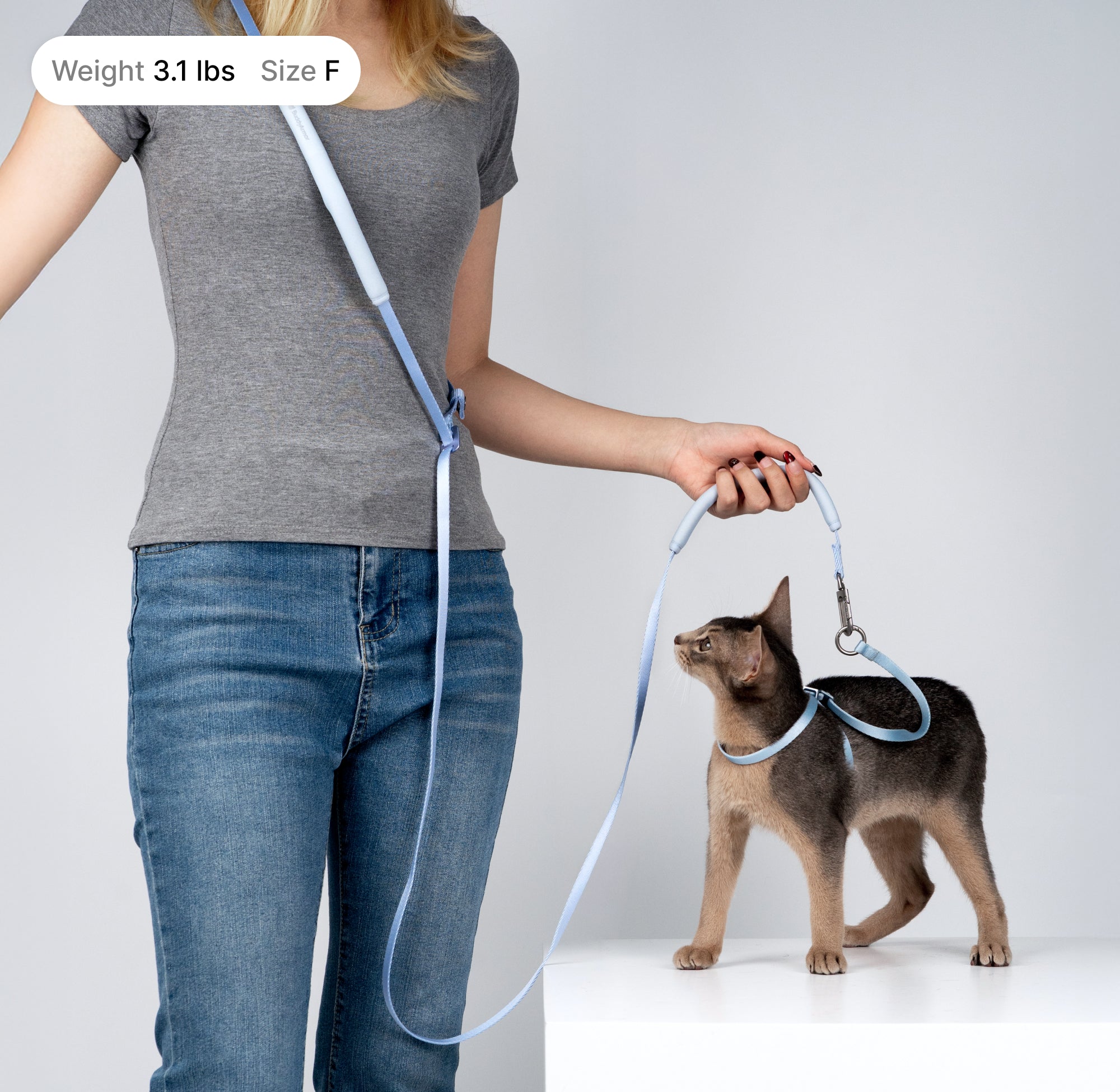 Lightweight Cat Leash