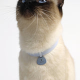 Pocket Cat Tag