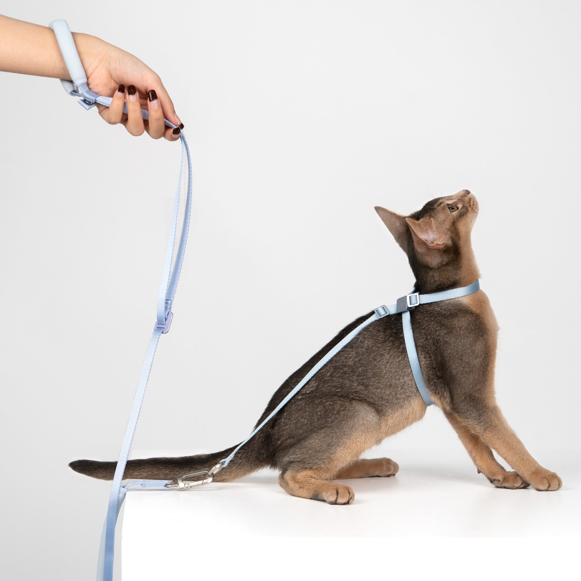 Lightweight Cat Leash