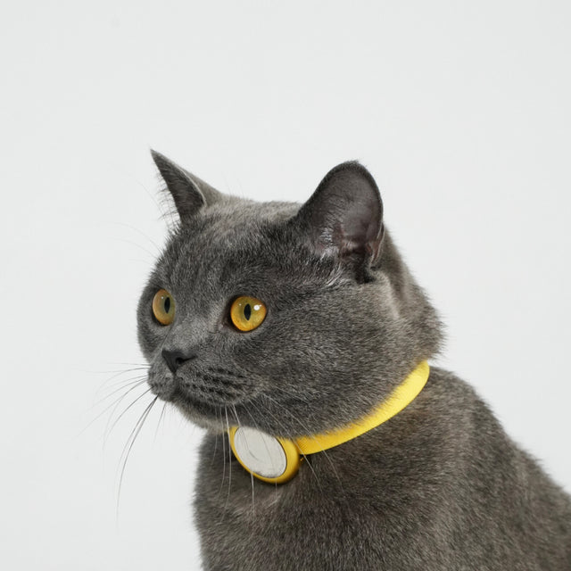 AirTag Holder + Safety Cat Collar