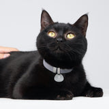 Star Cat Tag