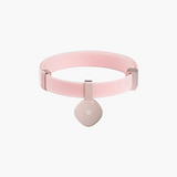 Star Tag + Safety Cat Collar