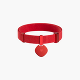 Star Tag + Safety Cat Collar