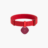 Star Tag + Safety Cat Collar