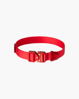 Light Alloy Dog Collar Pro