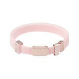Horizon Tag + Safety Cat Collar Pro