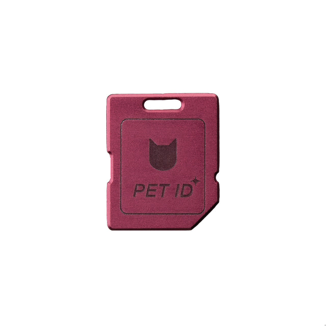 Anti-Lost QR Tag (Mini Card)