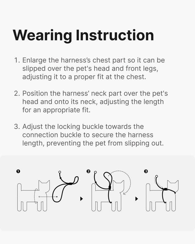 Escape Proof Training Harness - Leather - BuddyArmor