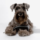 Hands-Free Retractable Leash