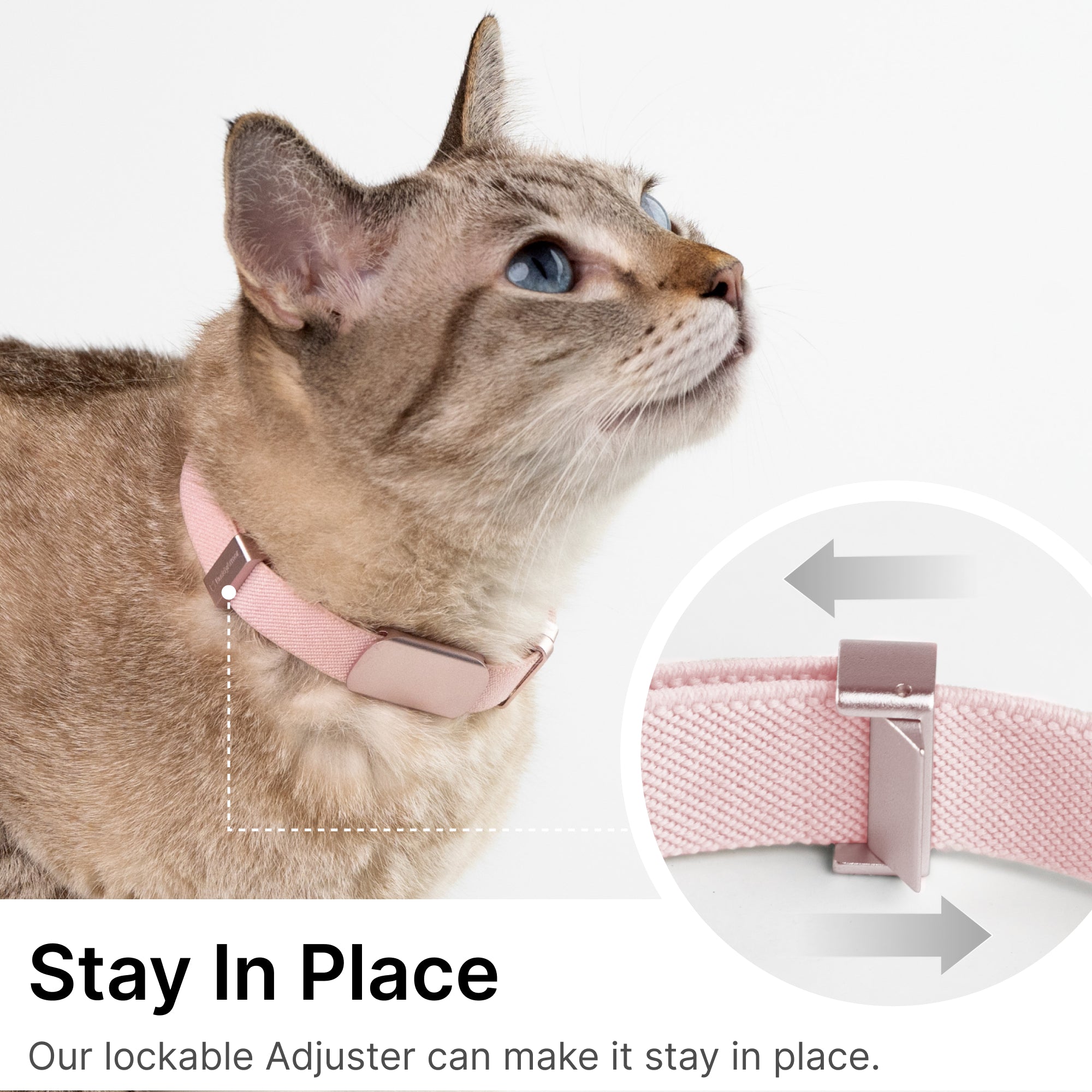 Horizon Tag + Safety Cat Collar Pro