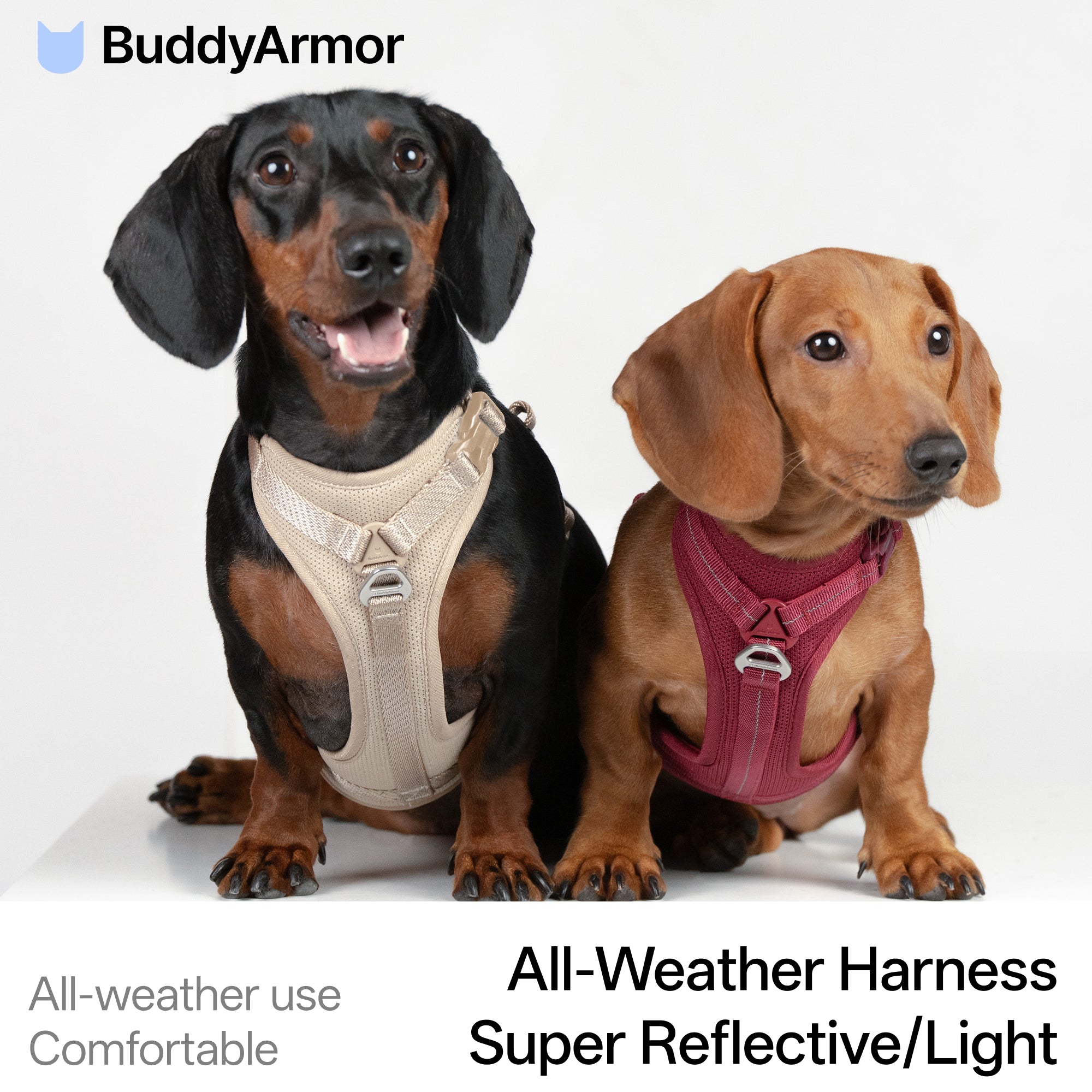All-weather Harness Super Reflective/Light