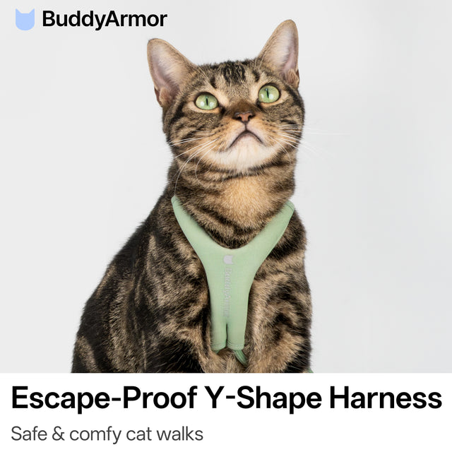 Escape-Proof Y-Shape Harness