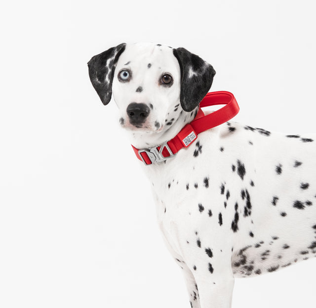 Light-Alloy Collar
