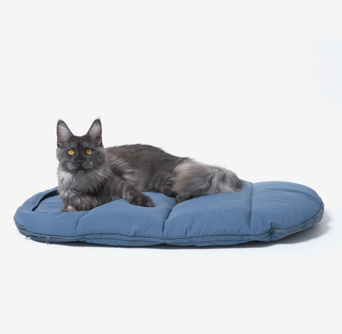 Sense-Security Cat Sleeping Bag