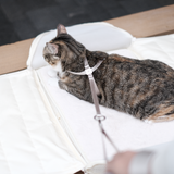 Escape-Proof Harness (8-Shape)