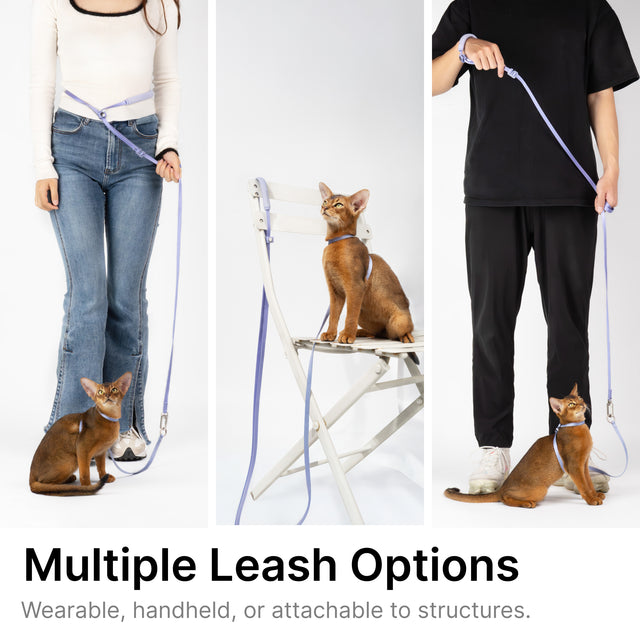 Lightweight Cat Leash + Escape-Proof Training Harness