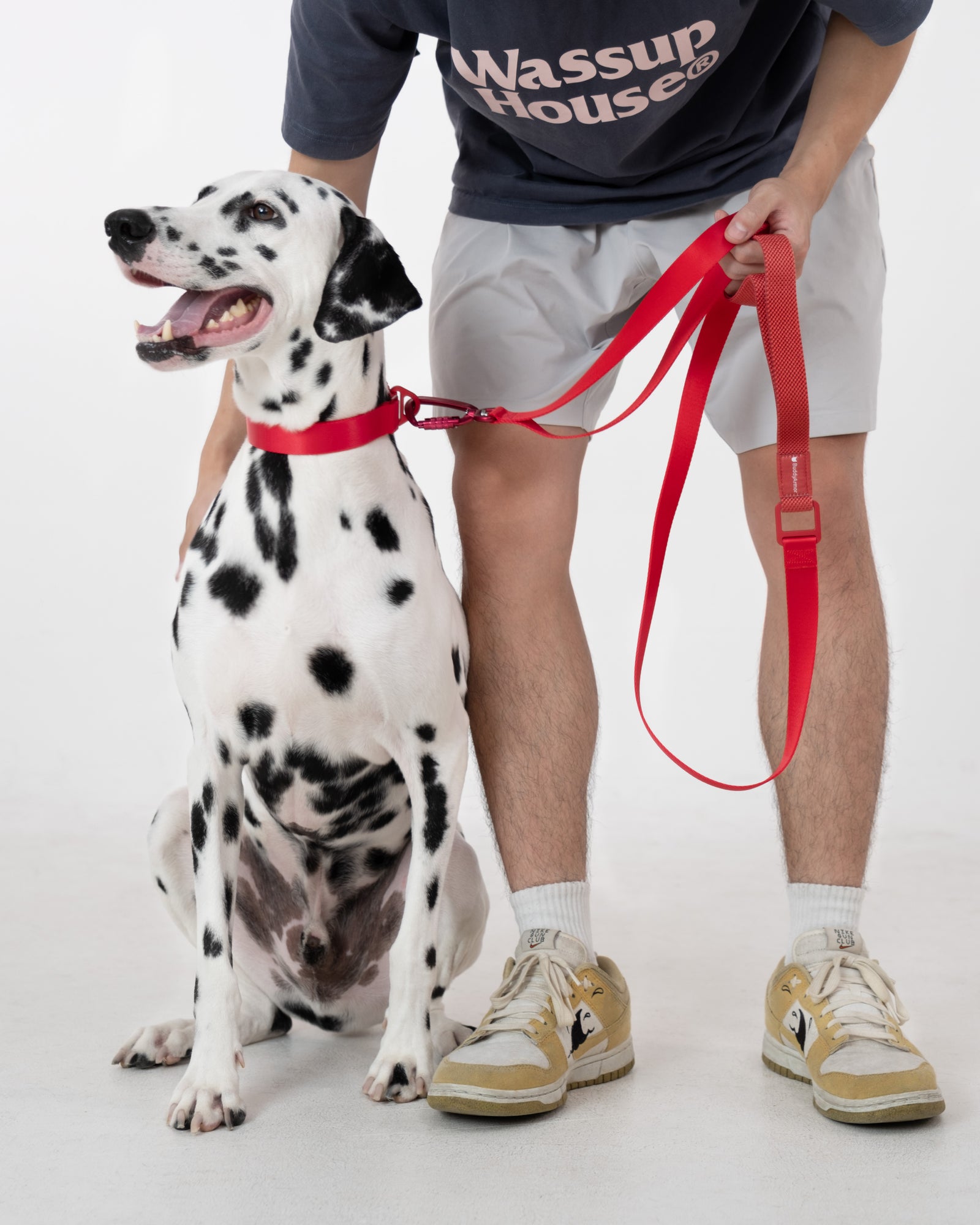 Light-Alloy Leash (Pro)