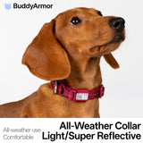 All-Weather Dog Collar Light/Super Reflective