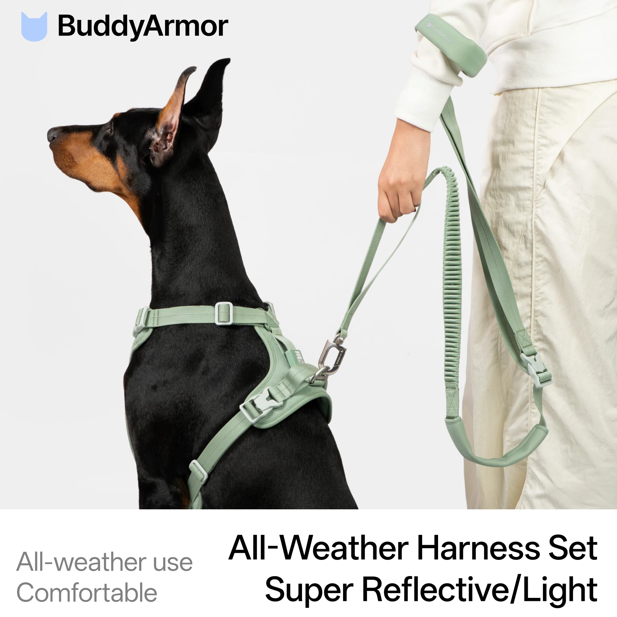 All-Weather Harness Leash SET