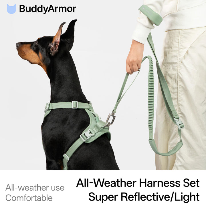 All-Weather Harness Leash SET