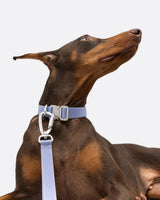 Light-Alloy Leash (Pro)