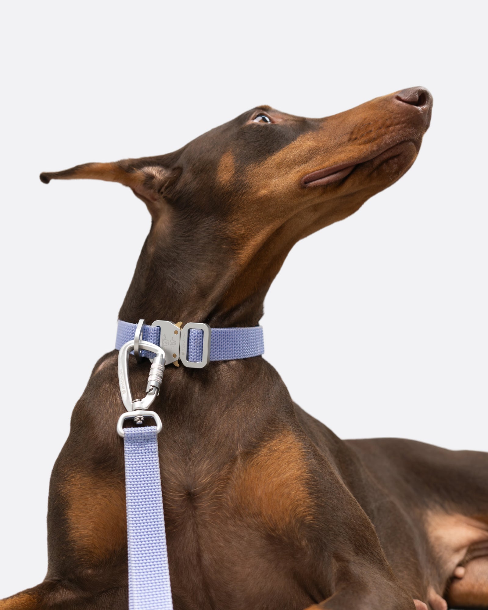 Light-Alloy Leash (Pro)