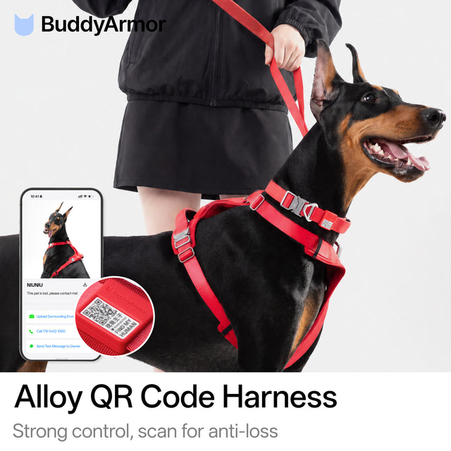 Light-Alloy Harness 3Bundle 001