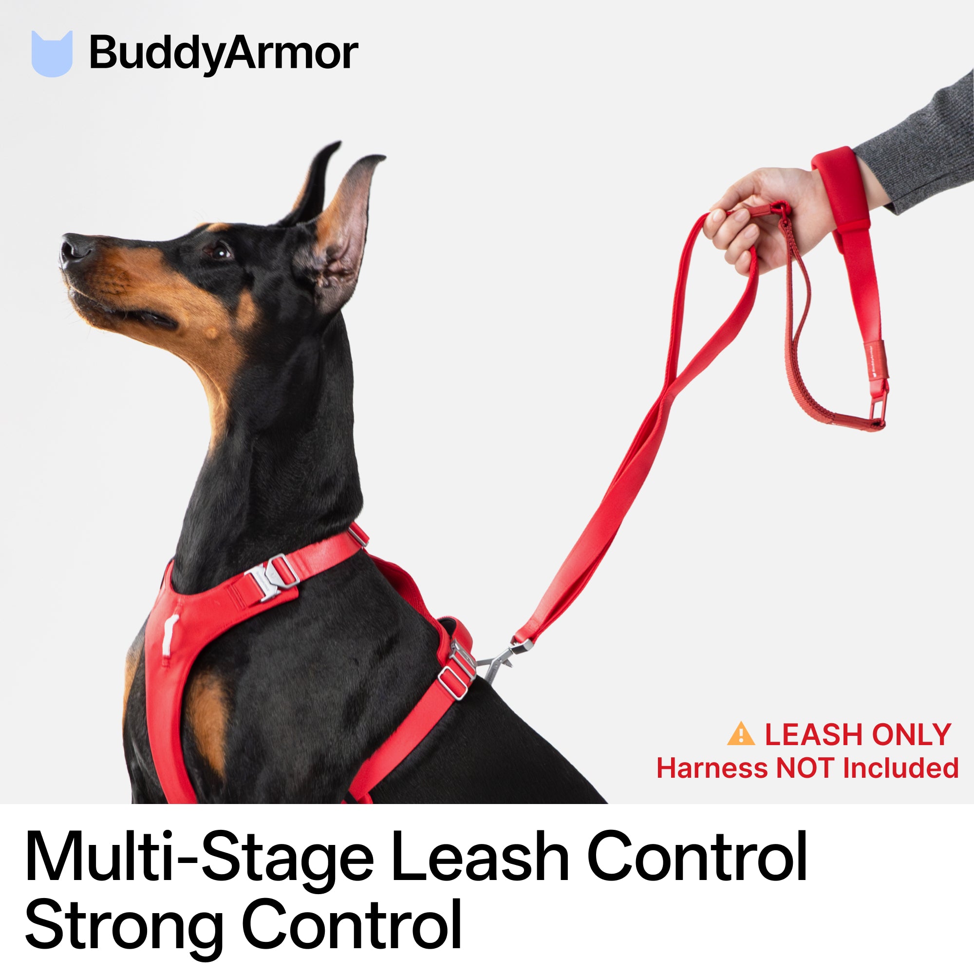 Light-Alloy Leash