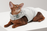 Escape-Proof Apparel (Down)