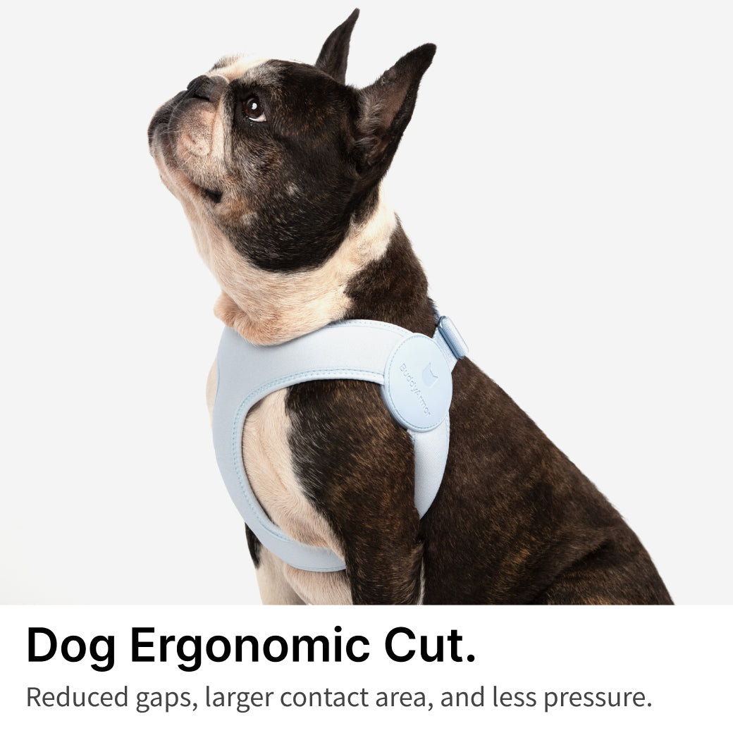 Ultra Comfortable Harness