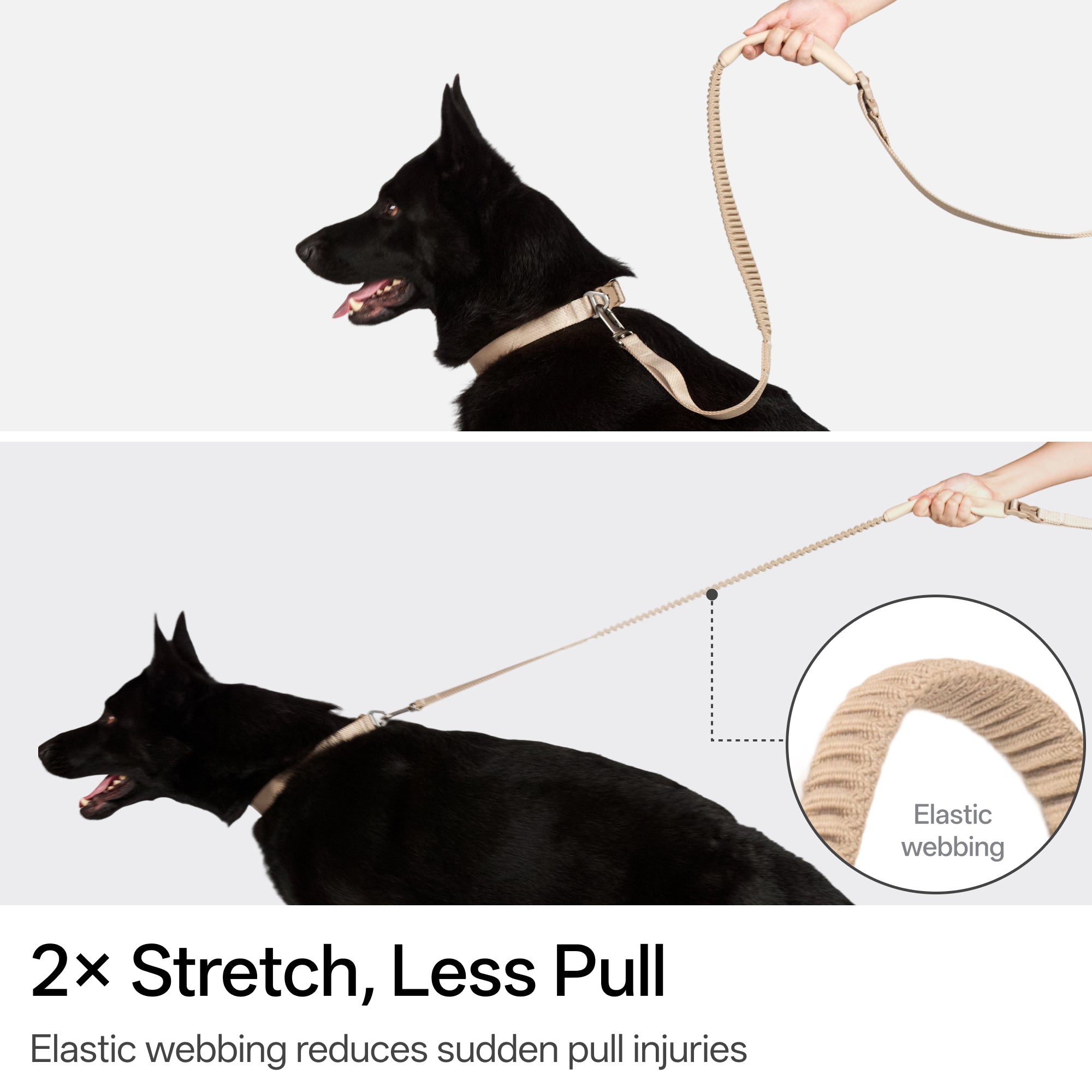 BA Hands-Free Dog Leash
