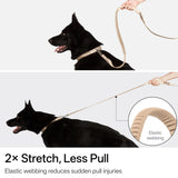 BA Hands-Free Dog Leash