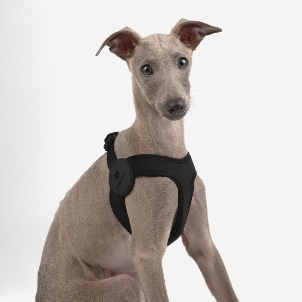 Ultra-Comfort Harness (Elastic)