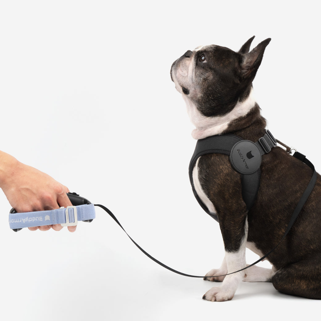 Ultra Comfortable Harness