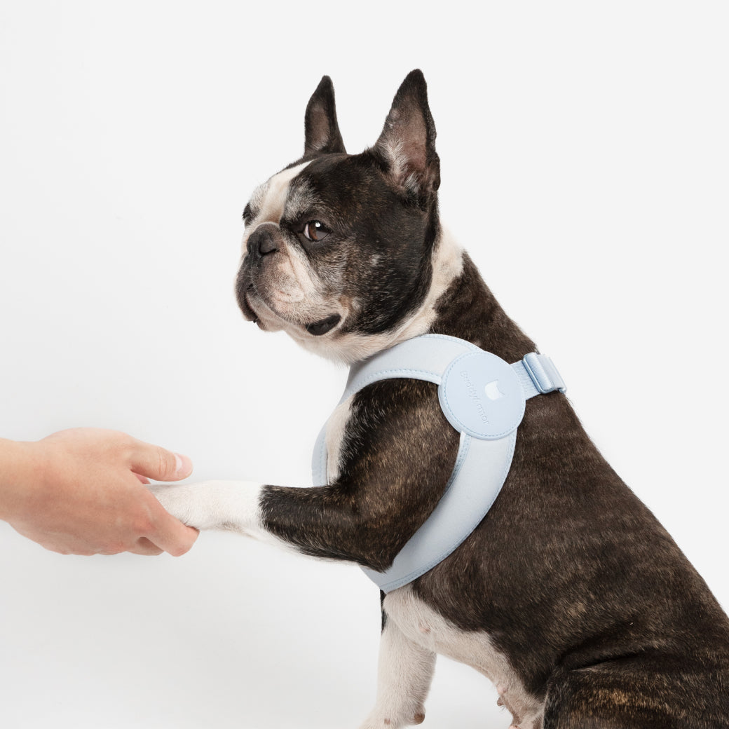 Ultra Comfortable Harness