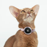 Anti-Lost AirTag Holder