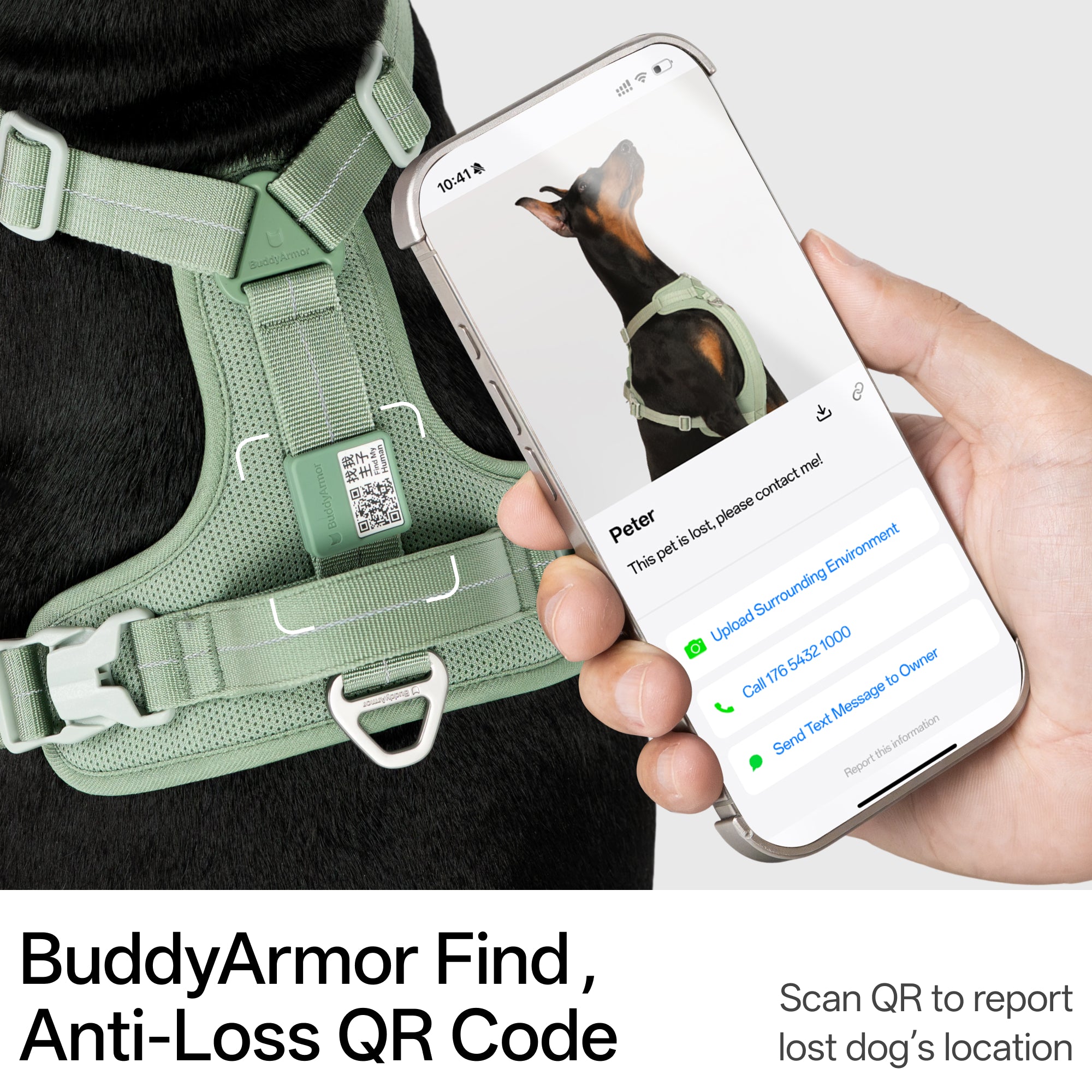 All-Weather Harness Leash SET