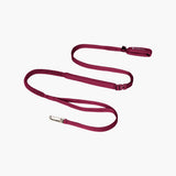Hands-Free Leash (Super Reflective)